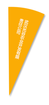 腾博汇游戏官网·(中国)专业服务,诚信为本