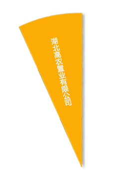 腾博汇游戏官网·(中国)专业服务,诚信为本