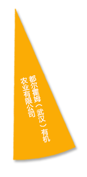腾博汇游戏官网·(中国)专业服务,诚信为本