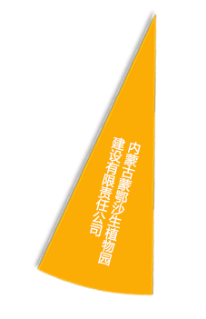 腾博汇游戏官网·(中国)专业服务,诚信为本