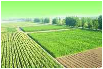 腾博汇游戏官网·(中国)专业服务,诚信为本