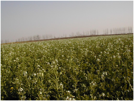 腾博汇游戏官网·(中国)专业服务,诚信为本