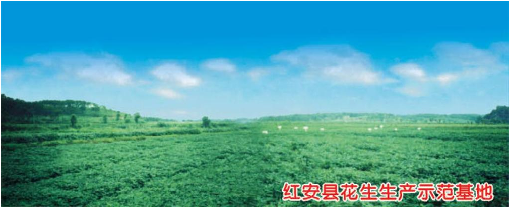 腾博汇游戏官网·(中国)专业服务,诚信为本