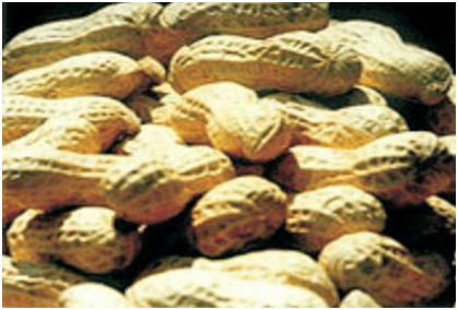 腾博汇游戏官网·(中国)专业服务,诚信为本