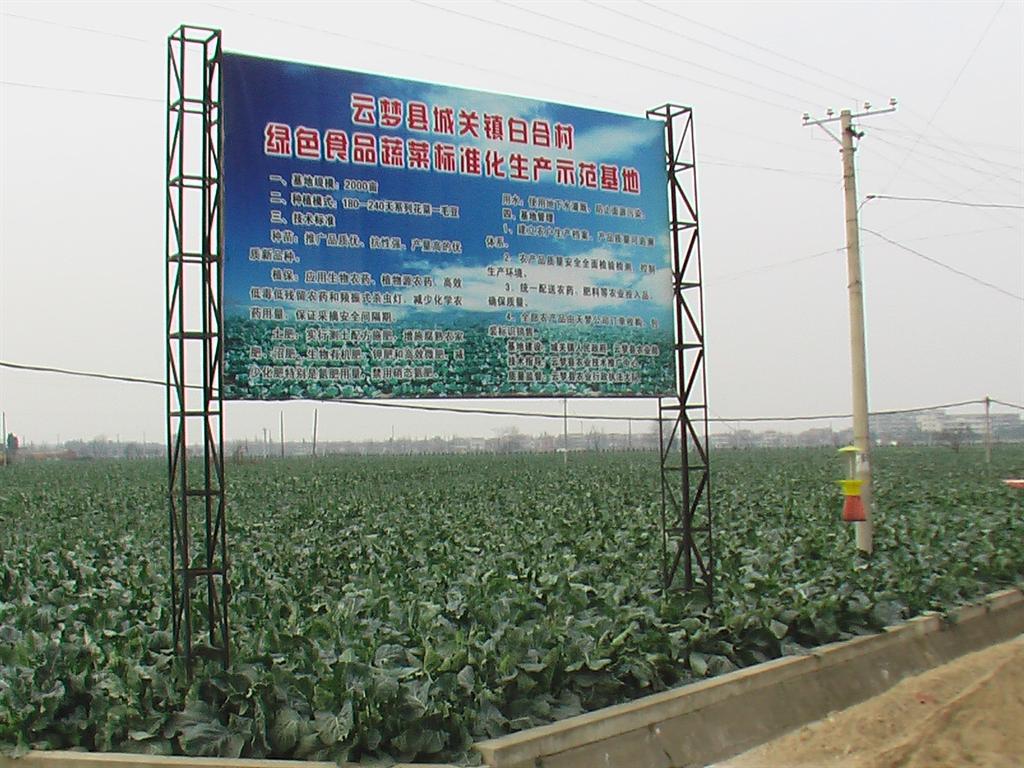 腾博汇游戏官网·(中国)专业服务,诚信为本