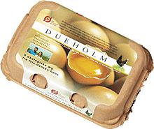 腾博汇游戏官网·(中国)专业服务,诚信为本