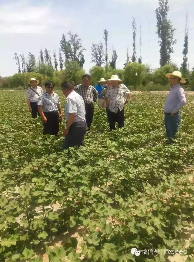 腾博汇游戏官网·(中国)专业服务,诚信为本