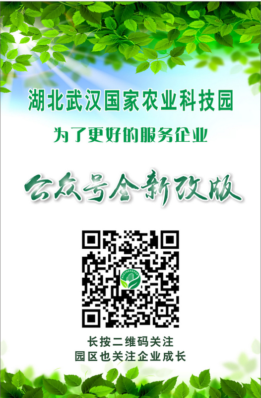 腾博汇游戏官网·(中国)专业服务,诚信为本