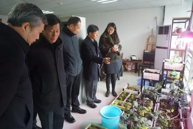 腾博汇游戏官网·(中国)专业服务,诚信为本