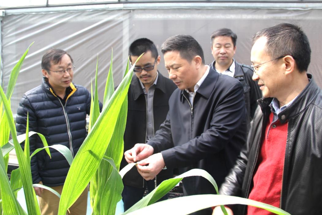 腾博汇游戏官网·(中国)专业服务,诚信为本