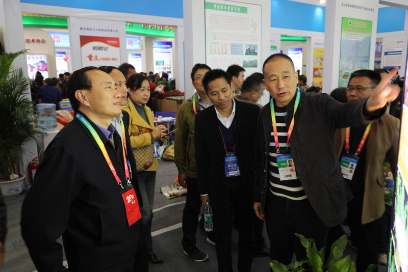 腾博汇游戏官网·(中国)专业服务,诚信为本