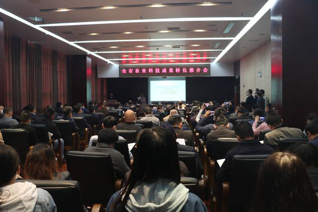 腾博汇游戏官网·(中国)专业服务,诚信为本